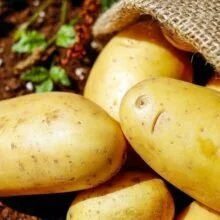 Топ 6 необычных свойств самой обычной картошки