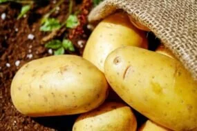 Топ 6 необычных свойств самой обычной картошки